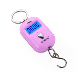 Безмен электронный WH-A21